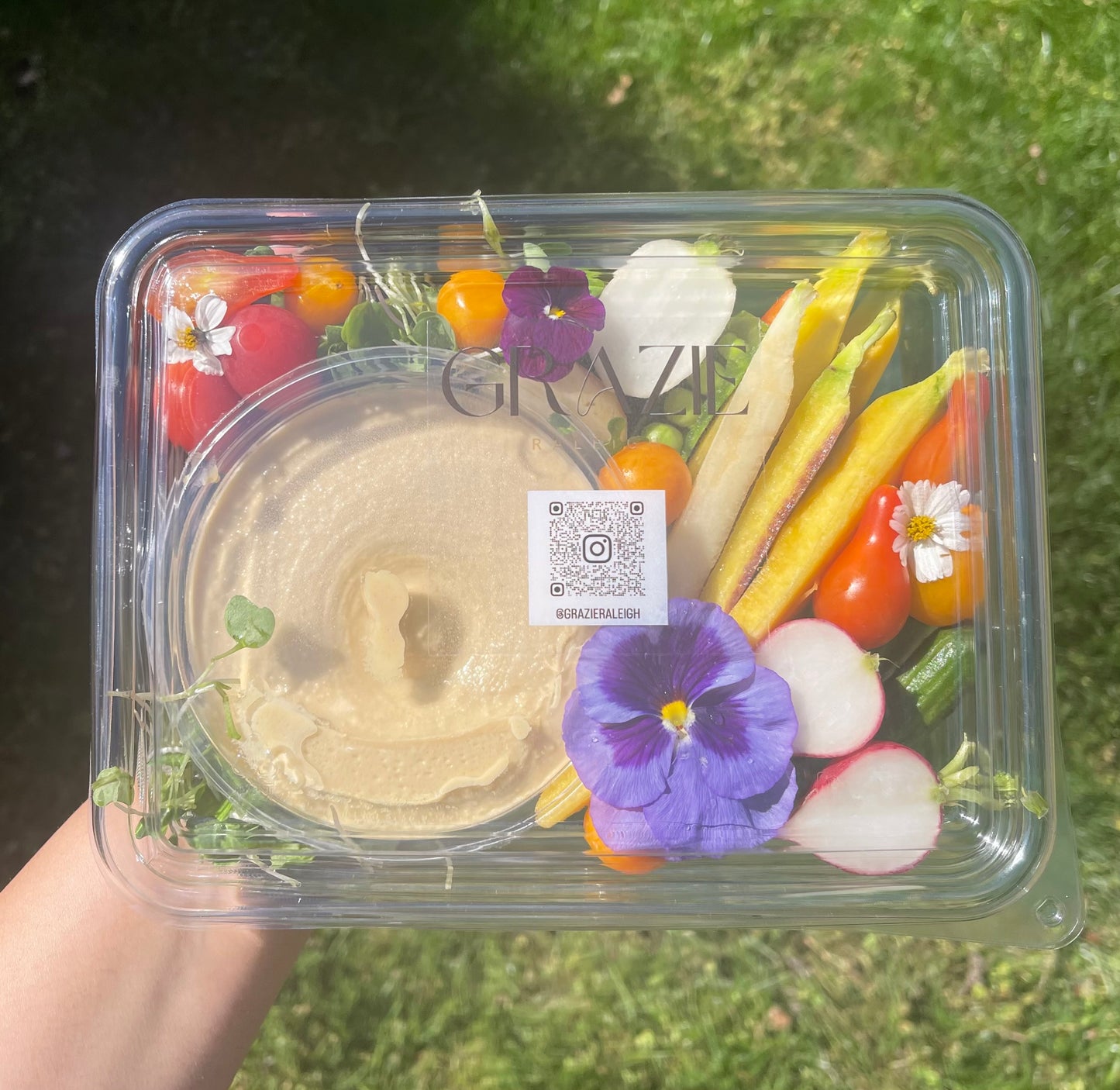 Picnic Hummus & Crudités